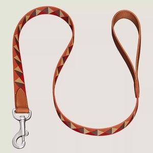 hermes dog leash